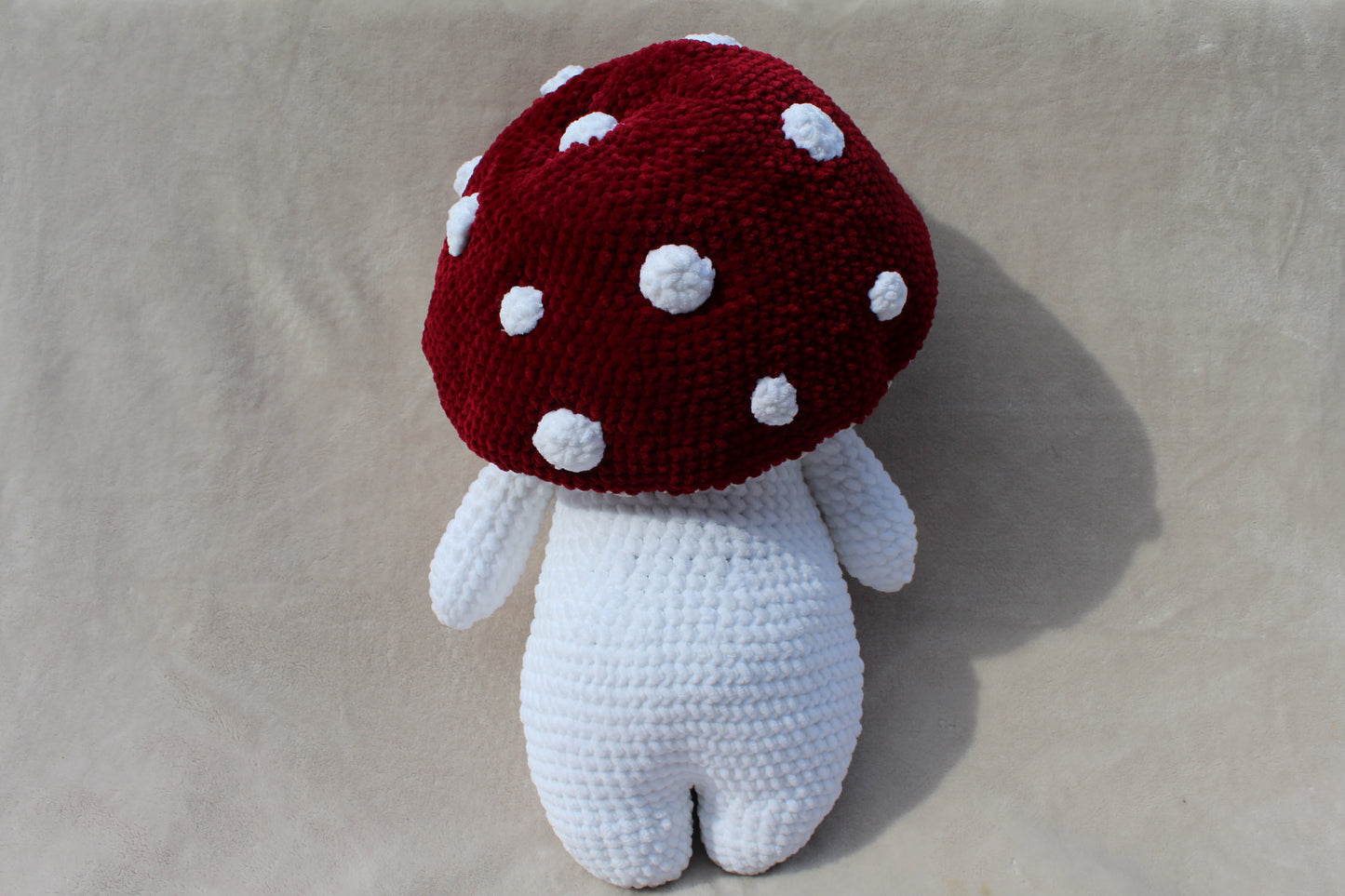 Mushroom Boy