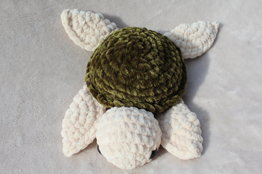 Sea Turtle