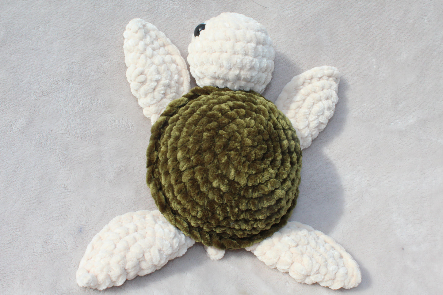 Sea Turtle