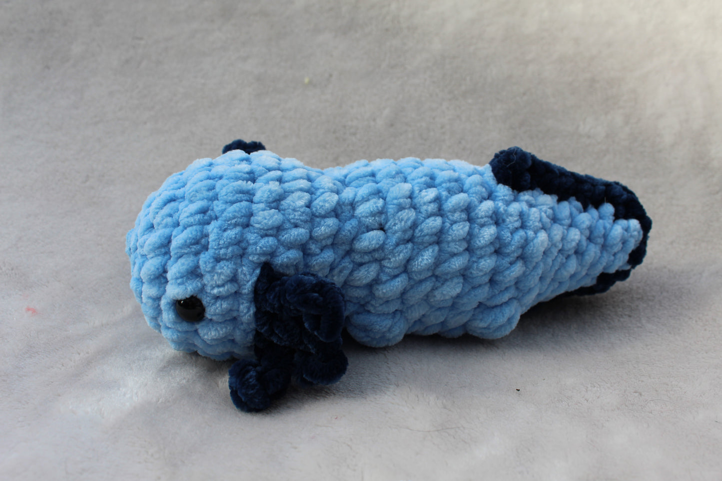 Axolotl