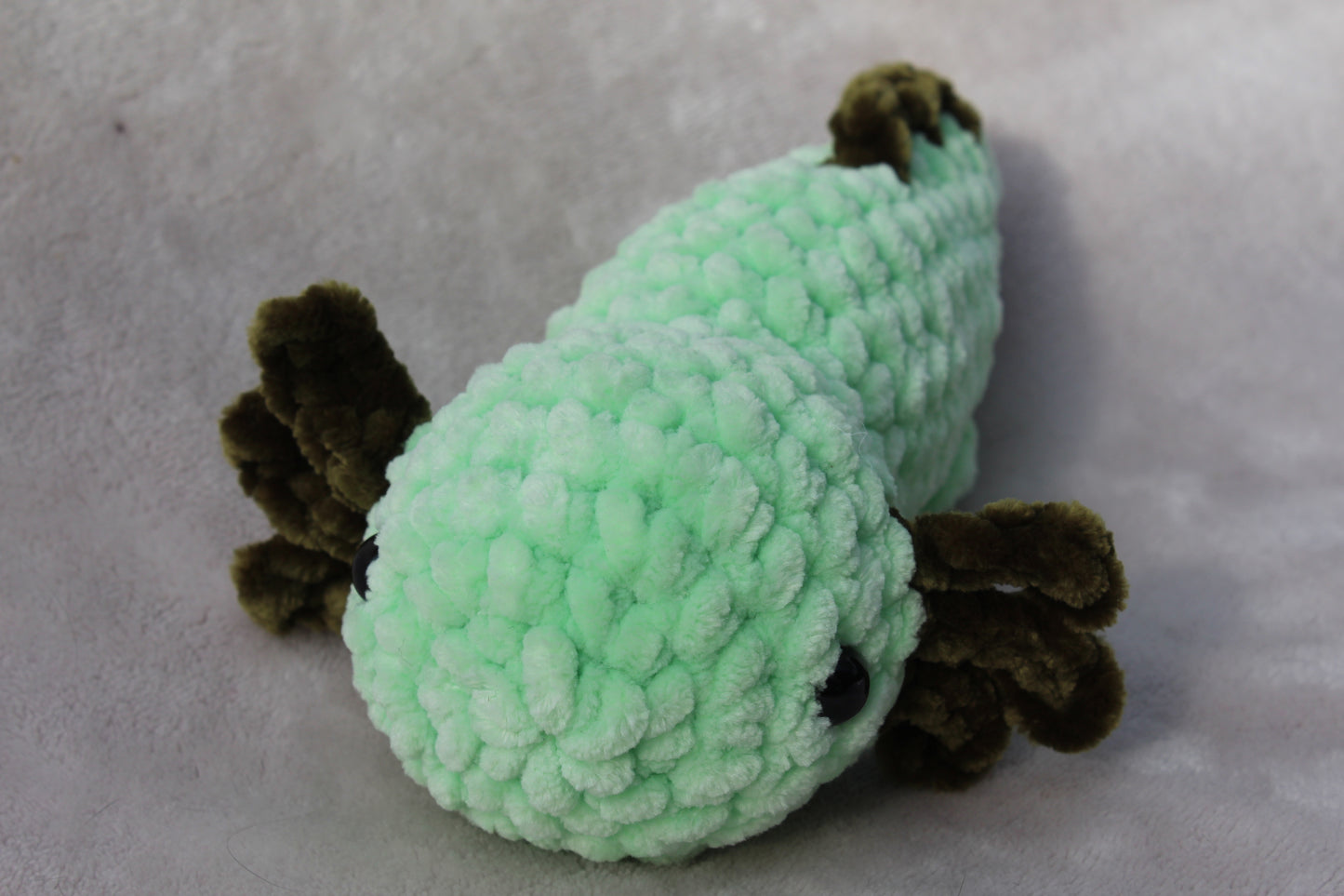 Axolotl