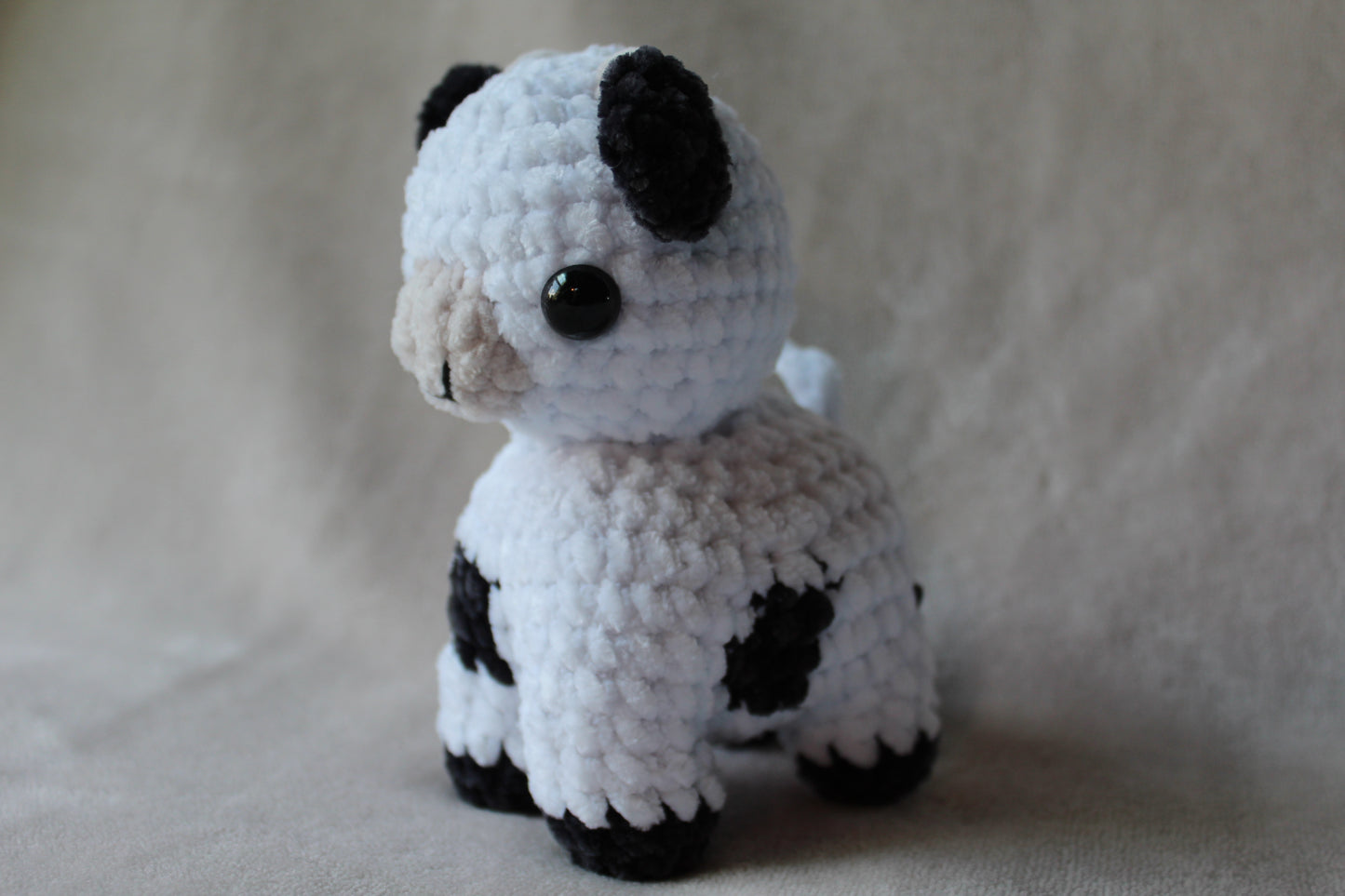 Miniature Cow