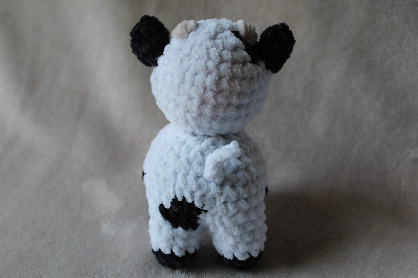 Miniature Cow