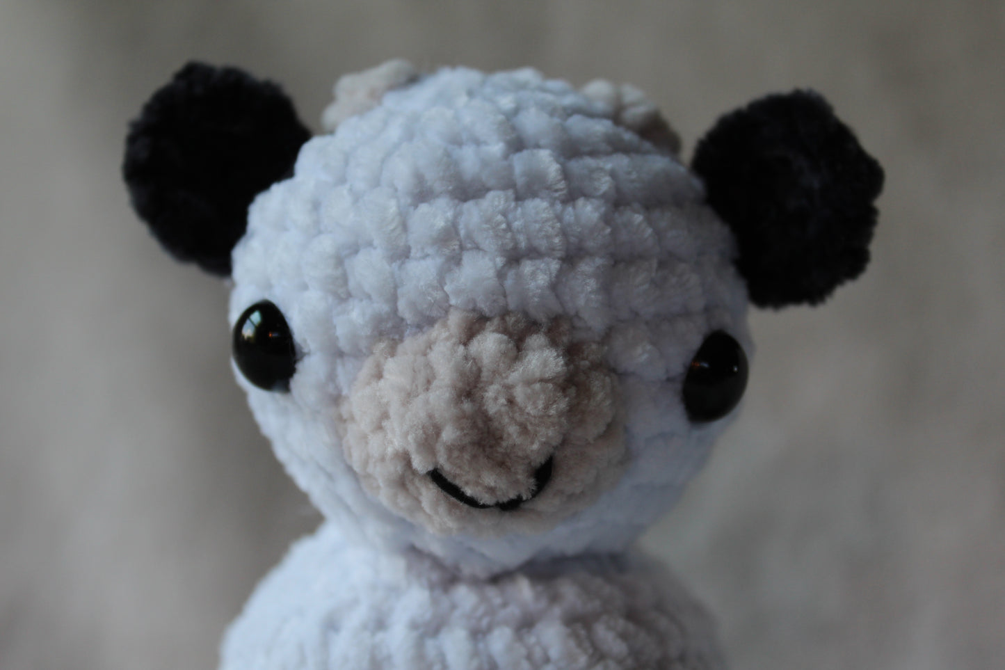 Miniature Cow