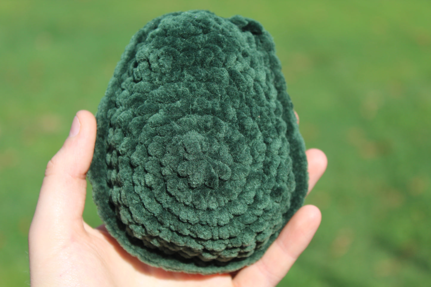 Avocado