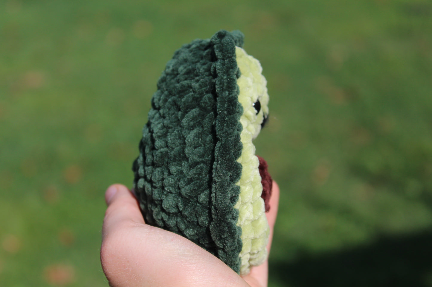 Avocado