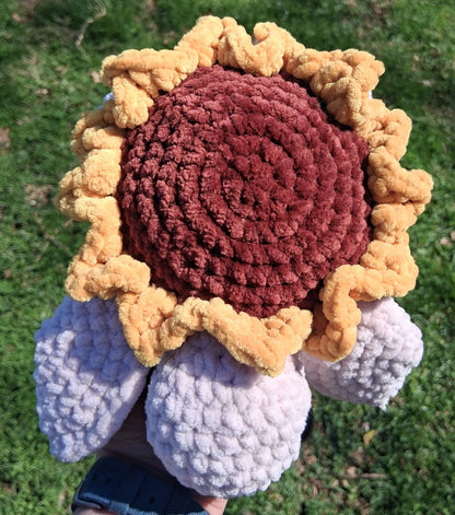 Sunflower Sea Turtle