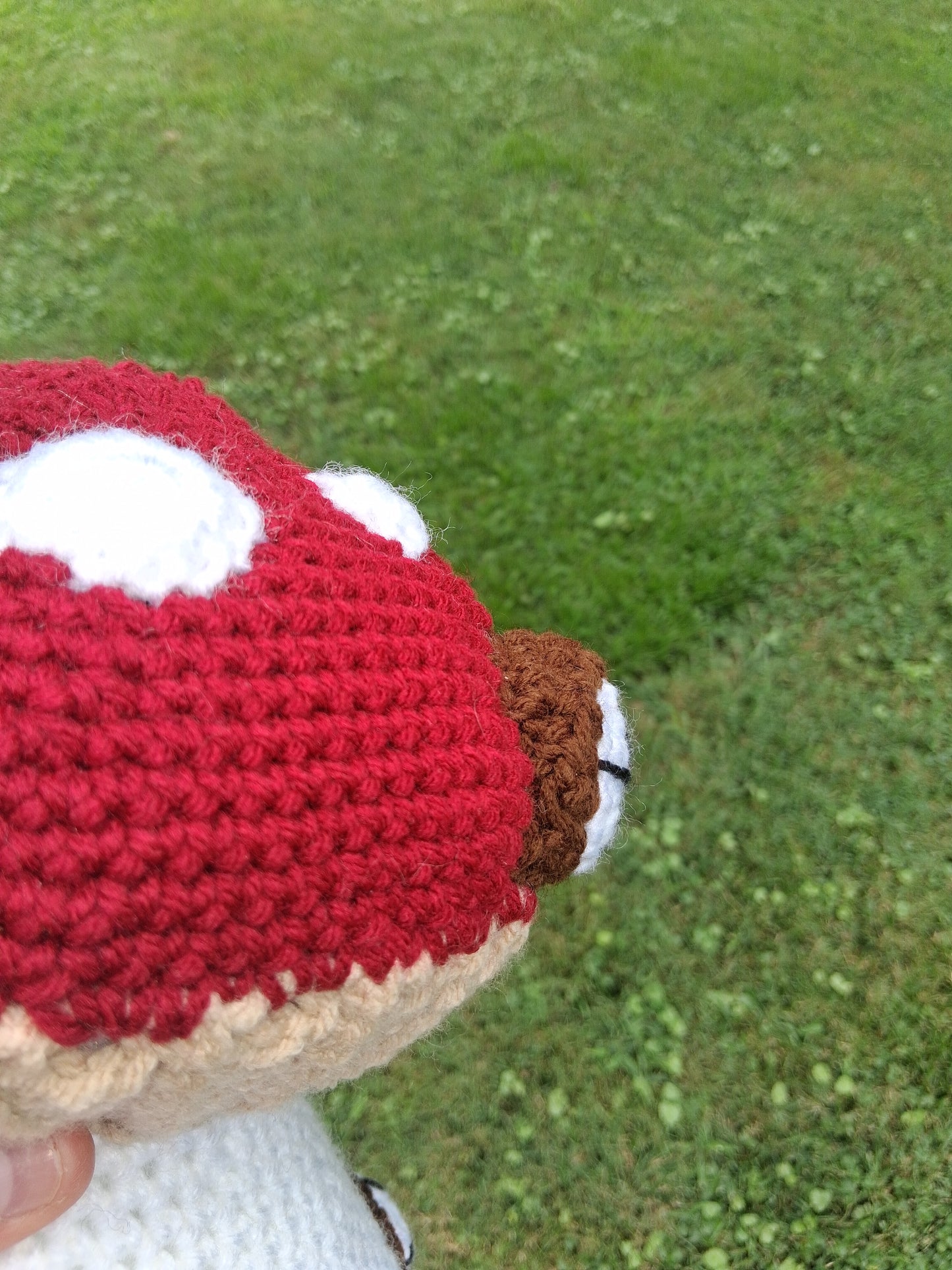 Mushroom House Crochet Pattern