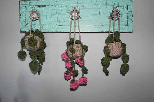Hanging Plant