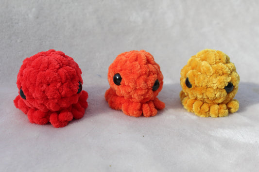 Miniature Octopus