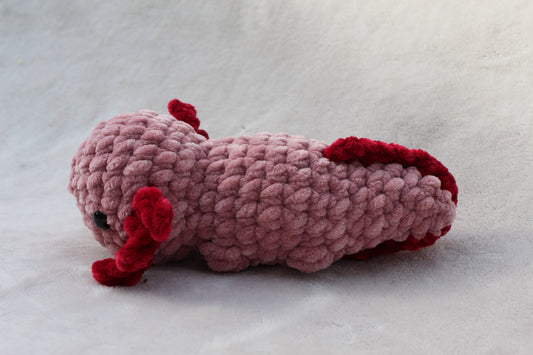 Axolotl