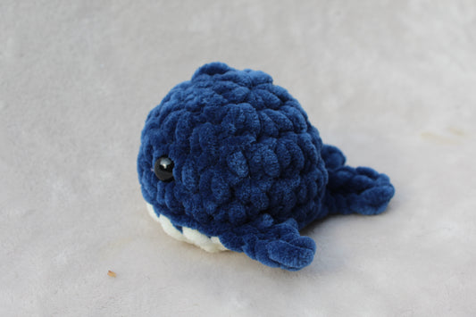 Mini Whale