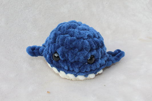 Mini Whale