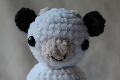 Miniature Cow