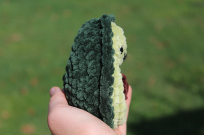 Avocado